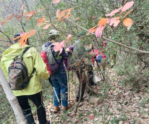 冬意初探黄连场，山野情深两步路